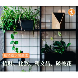 植物風水開運法