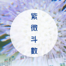 紫微斗數 (命格及十年大運)