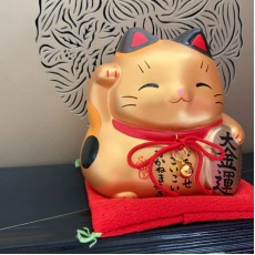 日本正品葯師窯金色彩耀大福招財貓