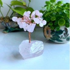 粉晶桃花樹 (粉水晶底)