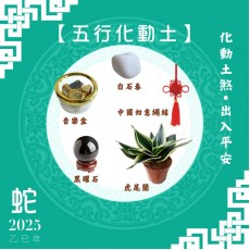 【五行化動土】蛇年開運套裝
