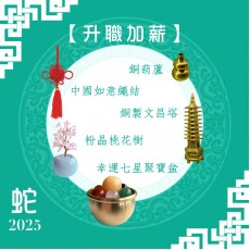 【辦公室升職加薪】蛇年開運套裝